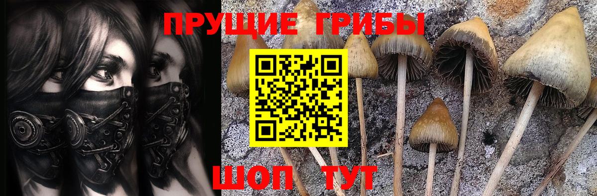 Галлюциногенные грибы Magic Shrooms Дербент