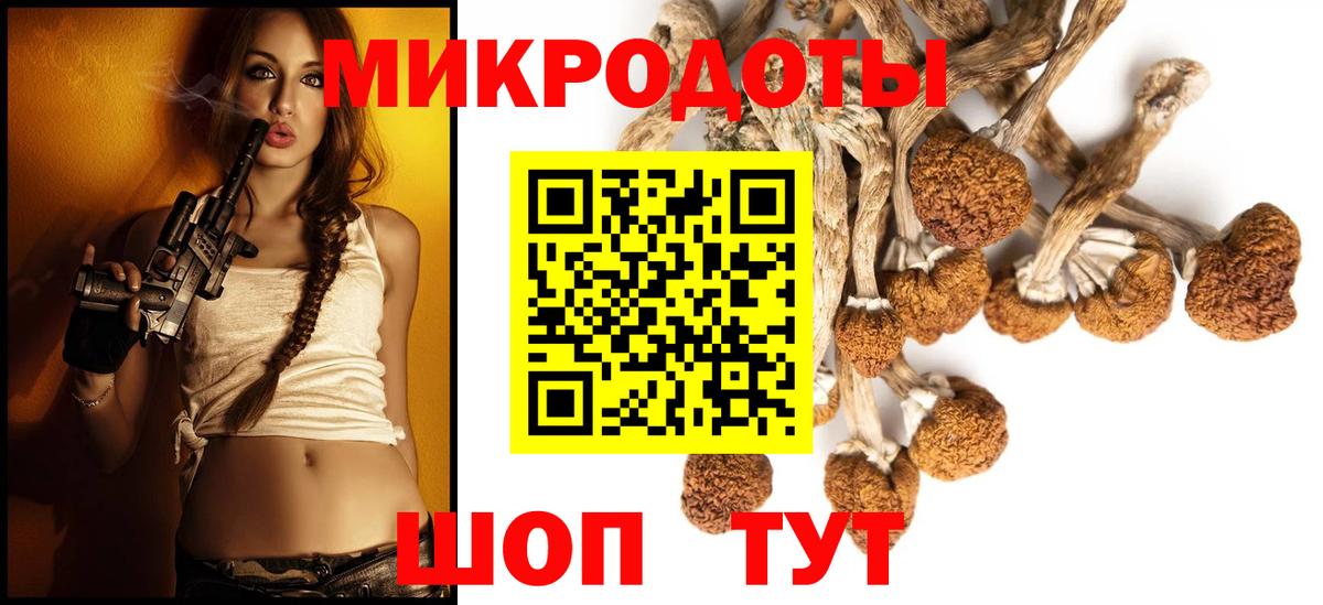 Дербент  Псилоцибиновые грибы Psilocybine cubensis  Вход с VPN 